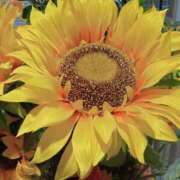 ヒメ日記 2025/08/02 13:23 投稿 まりも 熟女の風俗最終章 新宿店