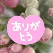 ヒメ日記 2026/04/01 10:14 投稿 まりも 熟女の風俗最終章 新宿店