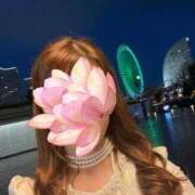 ヒメ日記 2025/11/26 14:30 投稿 ゆうか 熟女の風俗最終章 新宿店