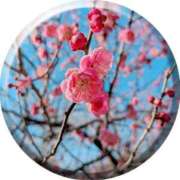 ヒメ日記 2025/03/02 08:42 投稿 とわ 熟女の風俗最終章 新宿店