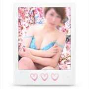 ヒメ日記 2025/03/14 20:02 投稿 とわ 熟女の風俗最終章 新宿店