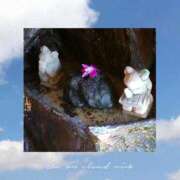 ヒメ日記 2025/09/03 09:03 投稿 とわ 熟女の風俗最終章 新宿店