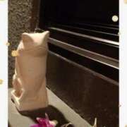 ヒメ日記 2025/09/14 10:22 投稿 とわ 熟女の風俗最終章 新宿店