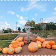 ヒメ日記 2025/10/05 08:28 投稿 とわ 熟女の風俗最終章 新宿店