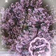 ヒメ日記 2026/04/06 22:43 投稿 とわ 熟女の風俗最終章 新宿店