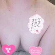 ヒメ日記 2025/02/09 00:38 投稿 ひなつ 熟女の風俗最終章 新宿店