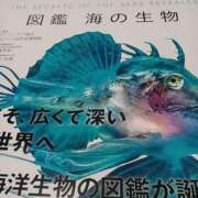 ヒメ日記 2025/02/20 14:24 投稿 りょうこ 熟女の風俗最終章 新宿店