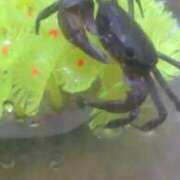 ヒメ日記 2025/02/22 23:14 投稿 りょうこ 熟女の風俗最終章 新宿店