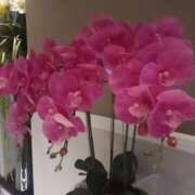 ヒメ日記 2025/03/04 12:07 投稿 りょうこ 熟女の風俗最終章 新宿店