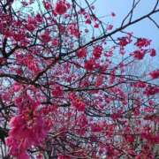 ヒメ日記 2025/03/23 19:22 投稿 りょうこ 熟女の風俗最終章 新宿店