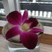 ヒメ日記 2025/03/25 15:03 投稿 りょうこ 熟女の風俗最終章 新宿店