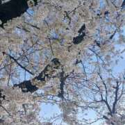 ヒメ日記 2025/04/07 16:34 投稿 りょうこ 熟女の風俗最終章 新宿店