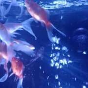 ヒメ日記 2025/05/15 17:10 投稿 りょうこ 熟女の風俗最終章 新宿店