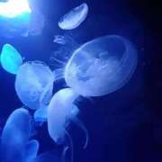 ヒメ日記 2025/05/25 17:59 投稿 りょうこ 熟女の風俗最終章 新宿店