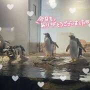 ヒメ日記 2025/07/30 23:57 投稿 このみ 熟女の風俗最終章 新宿店