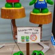 ヒメ日記 2025/09/05 08:34 投稿 ようこ 熟女の風俗最終章 新宿店