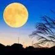 ヒメ日記 2025/11/05 21:36 投稿 ようこ 熟女の風俗最終章 新宿店