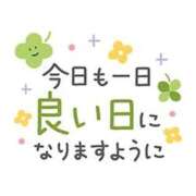 ヒメ日記 2026/06/10 10:42 投稿 ようこ 熟女の風俗最終章 新宿店