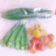 ヒメ日記 2025/07/06 17:02 投稿 さゆ 熟女の風俗最終章 新宿店