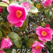 ヒメ日記 2025/03/23 17:02 投稿 きょうこ 熟女の風俗最終章 新宿店