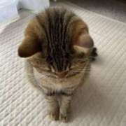 ヒメ日記 2025/04/12 11:22 投稿 きょうこ 熟女の風俗最終章 新宿店