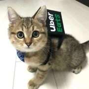 ヒメ日記 2025/08/14 15:14 投稿 きょうこ 熟女の風俗最終章 新宿店