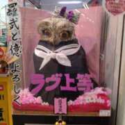 ヒメ日記 2026/02/15 03:42 投稿 きょうこ 熟女の風俗最終章 新宿店