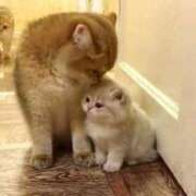 ヒメ日記 2026/03/01 07:21 投稿 きょうこ 熟女の風俗最終章 新宿店