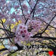 ヒメ日記 2026/03/13 21:52 投稿 きょうこ 熟女の風俗最終章 新宿店