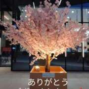 ヒメ日記 2026/03/16 02:12 投稿 きょうこ 熟女の風俗最終章 新宿店