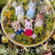 ヒメ日記 2026/03/29 04:26 投稿 きょうこ 熟女の風俗最終章 新宿店