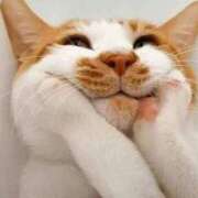 ヒメ日記 2026/03/31 19:32 投稿 きょうこ 熟女の風俗最終章 新宿店