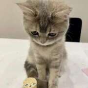 ヒメ日記 2026/04/05 13:32 投稿 きょうこ 熟女の風俗最終章 新宿店