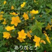 ヒメ日記 2026/05/24 17:22 投稿 きょうこ 熟女の風俗最終章 新宿店
