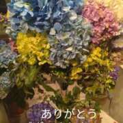 きょうこ グランド　魅惑のキラキラお目々Ｎ様❤️ 熟女の風俗最終章 新宿店