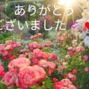ヒメ日記 2026/05/27 15:30 投稿 きょうこ 熟女の風俗最終章 新宿店