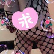 ヒメ日記 2025/02/14 21:24 投稿 つぼみ 熟女の風俗最終章 新宿店