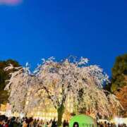 ヒメ日記 2025/03/27 01:02 投稿 つぼみ 熟女の風俗最終章 新宿店