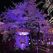 ヒメ日記 2025/04/05 02:22 投稿 つぼみ 熟女の風俗最終章 新宿店