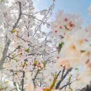 ヒメ日記 2025/04/06 21:45 投稿 つぼみ 熟女の風俗最終章 新宿店