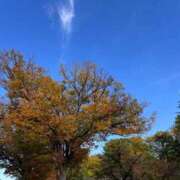 ヒメ日記 2025/11/13 20:58 投稿 つぼみ 熟女の風俗最終章 新宿店