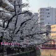 ヒメ日記 2026/03/29 15:42 投稿 つぼみ 熟女の風俗最終章 新宿店