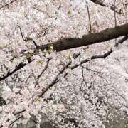 ヒメ日記 2026/04/08 23:55 投稿 つぼみ 熟女の風俗最終章 新宿店