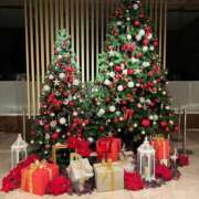 ヒメ日記 2024/12/09 07:32 投稿 あやな 熟女の風俗最終章 新宿店