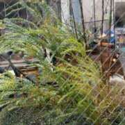 ヒメ日記 2025/03/05 17:16 投稿 あやな 熟女の風俗最終章 新宿店