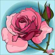 ヒメ日記 2025/03/16 11:03 投稿 あやな 熟女の風俗最終章 新宿店