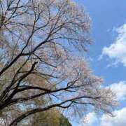 ヒメ日記 2025/04/07 16:11 投稿 あやな 熟女の風俗最終章 新宿店