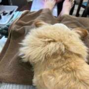 ヒメ日記 2025/05/01 16:32 投稿 あやな 熟女の風俗最終章 新宿店