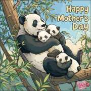 ヒメ日記 2025/05/11 08:52 投稿 あやな 熟女の風俗最終章 新宿店