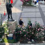 ヒメ日記 2025/05/13 15:52 投稿 あやな 熟女の風俗最終章 新宿店